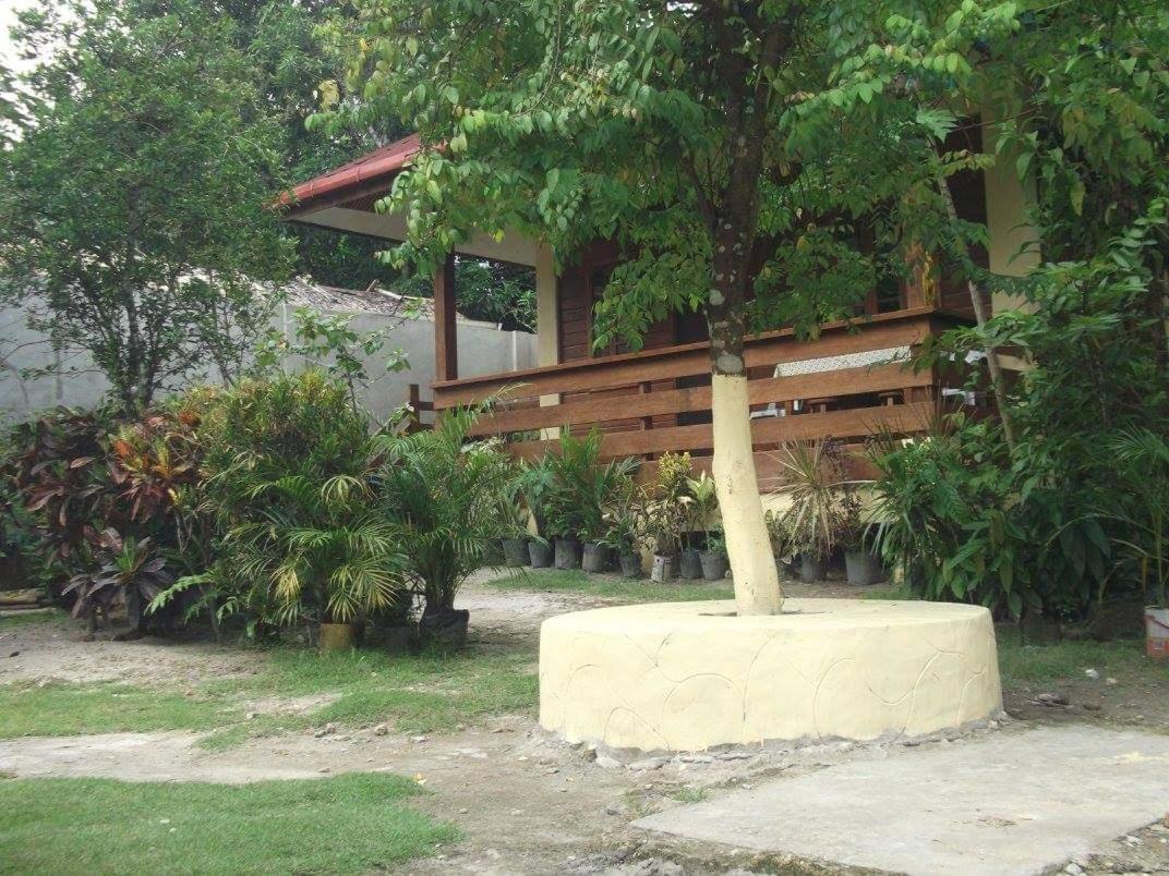 Nellie'S Tourist Inn- Port Barton San Vicente  Dış mekan fotoğraf